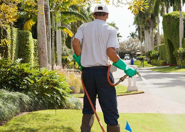 About Hanover WV Pest Control Pros